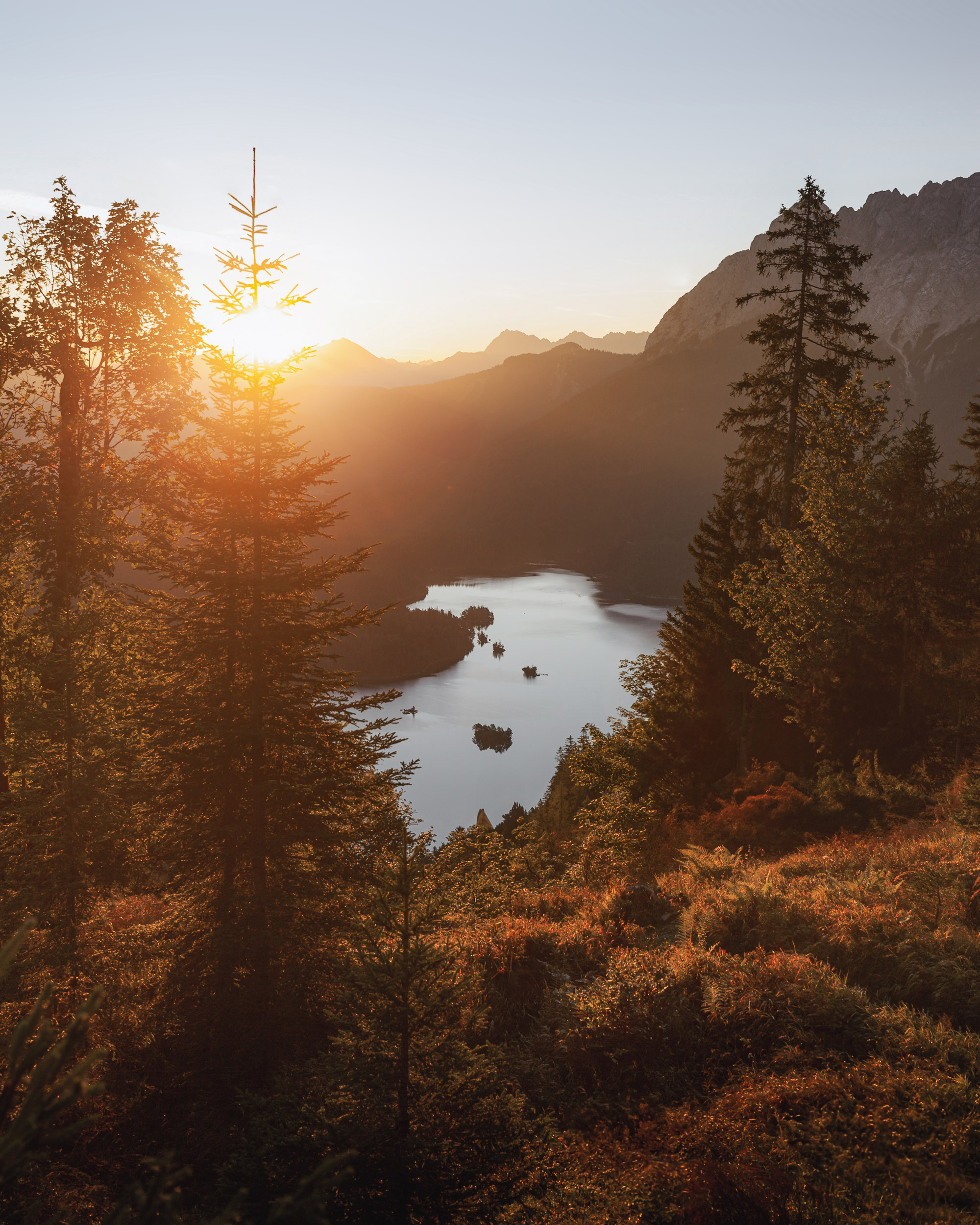 A person stands on a hill surrounded by trees, with a serene body of water in the background.