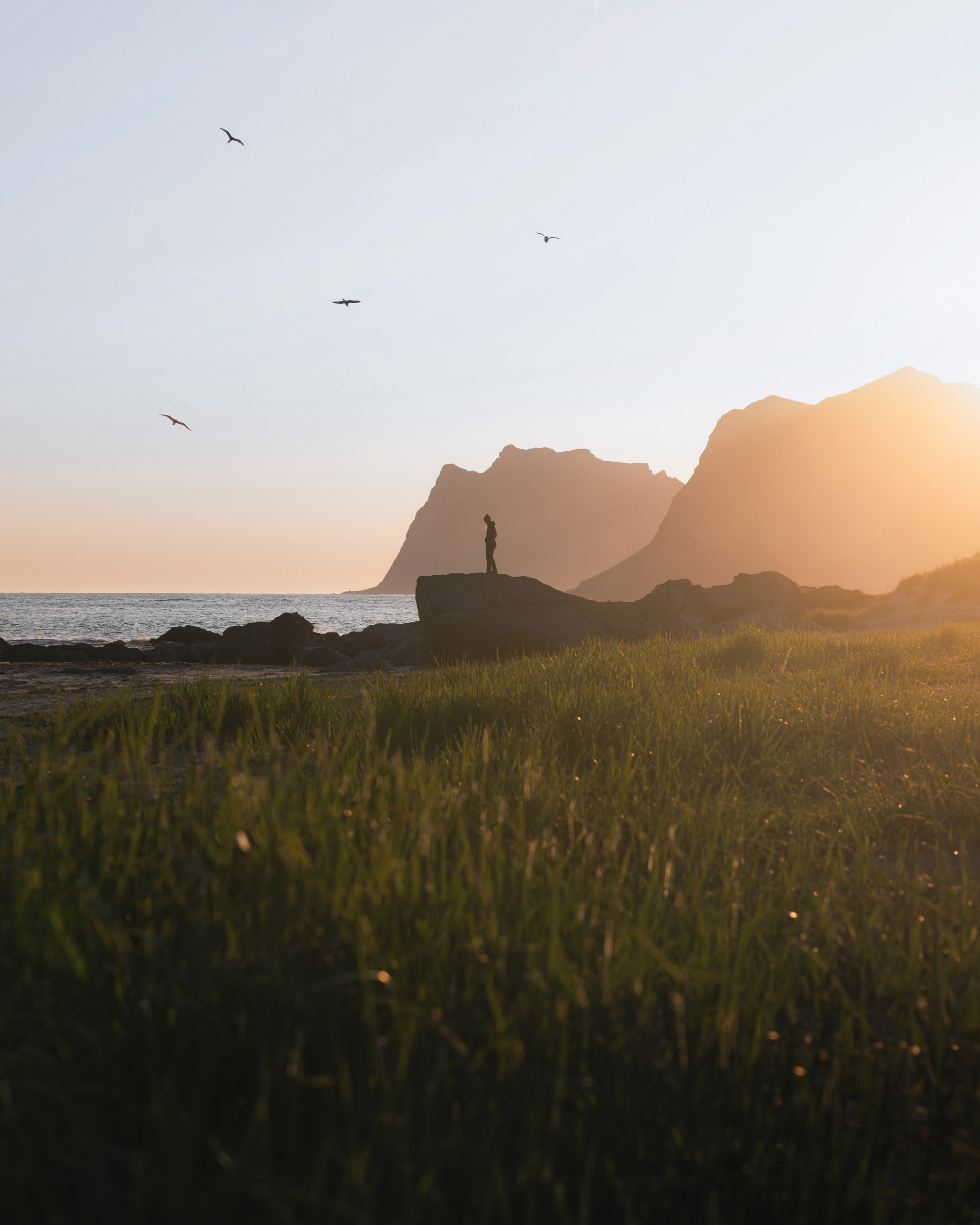 A person standing on a rock by the sea at sunset, with birds flying overhead and mountains glowing in the warm evening light.