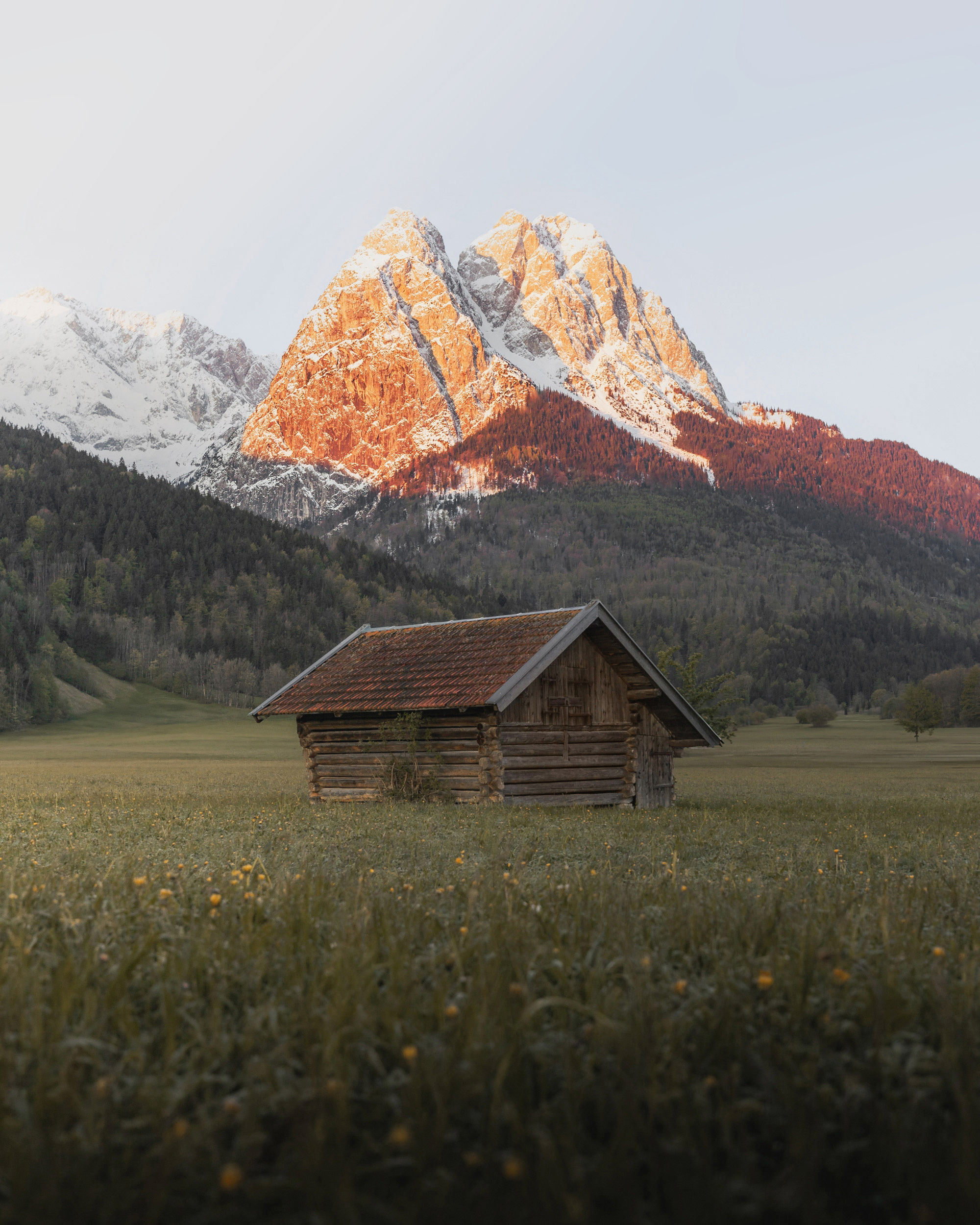 A rustic wooden chalet stands sentinel in a vibrant meadow, framed by the majestic peaks of the Alps.