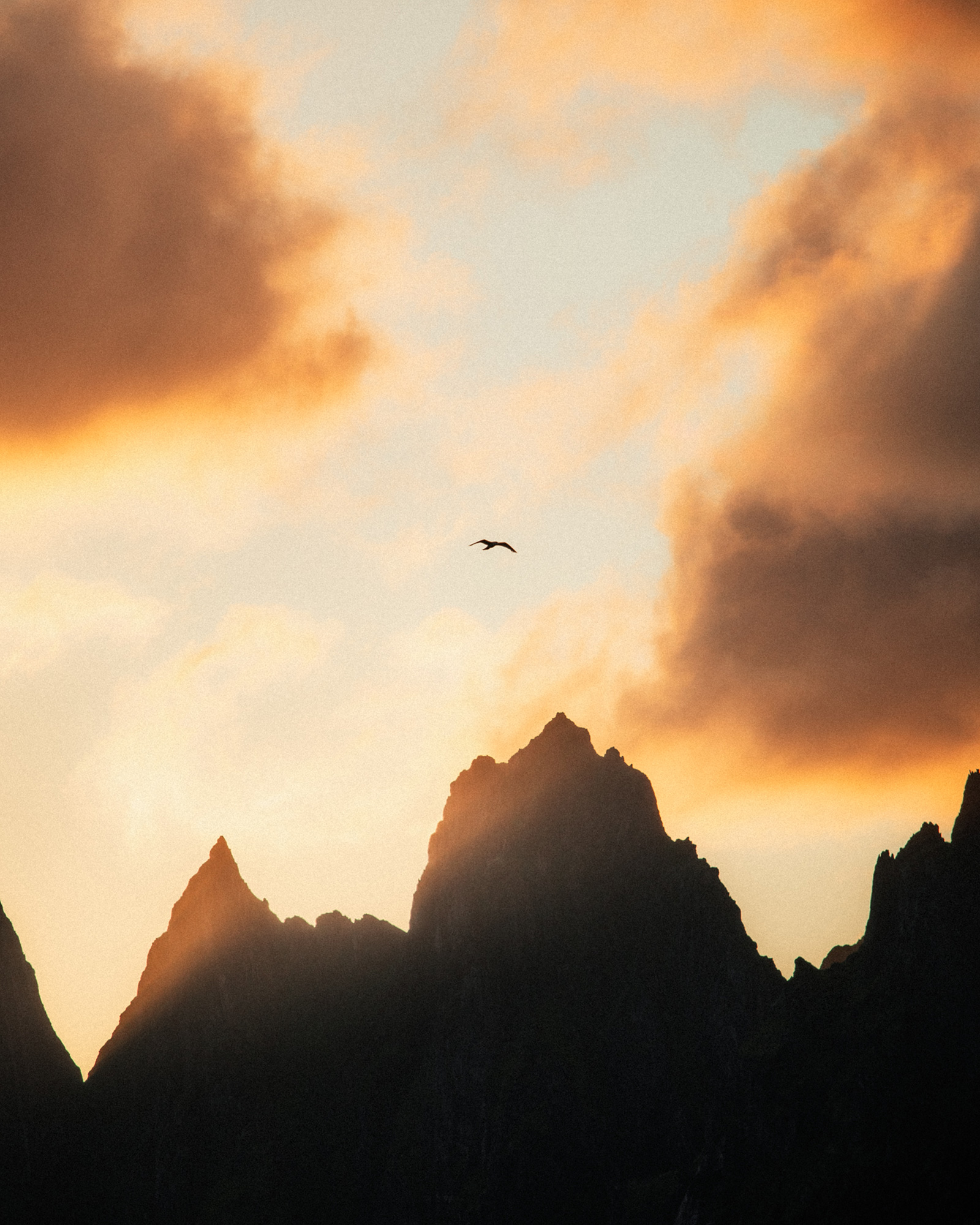 01-reiner-hofer-photography-norway