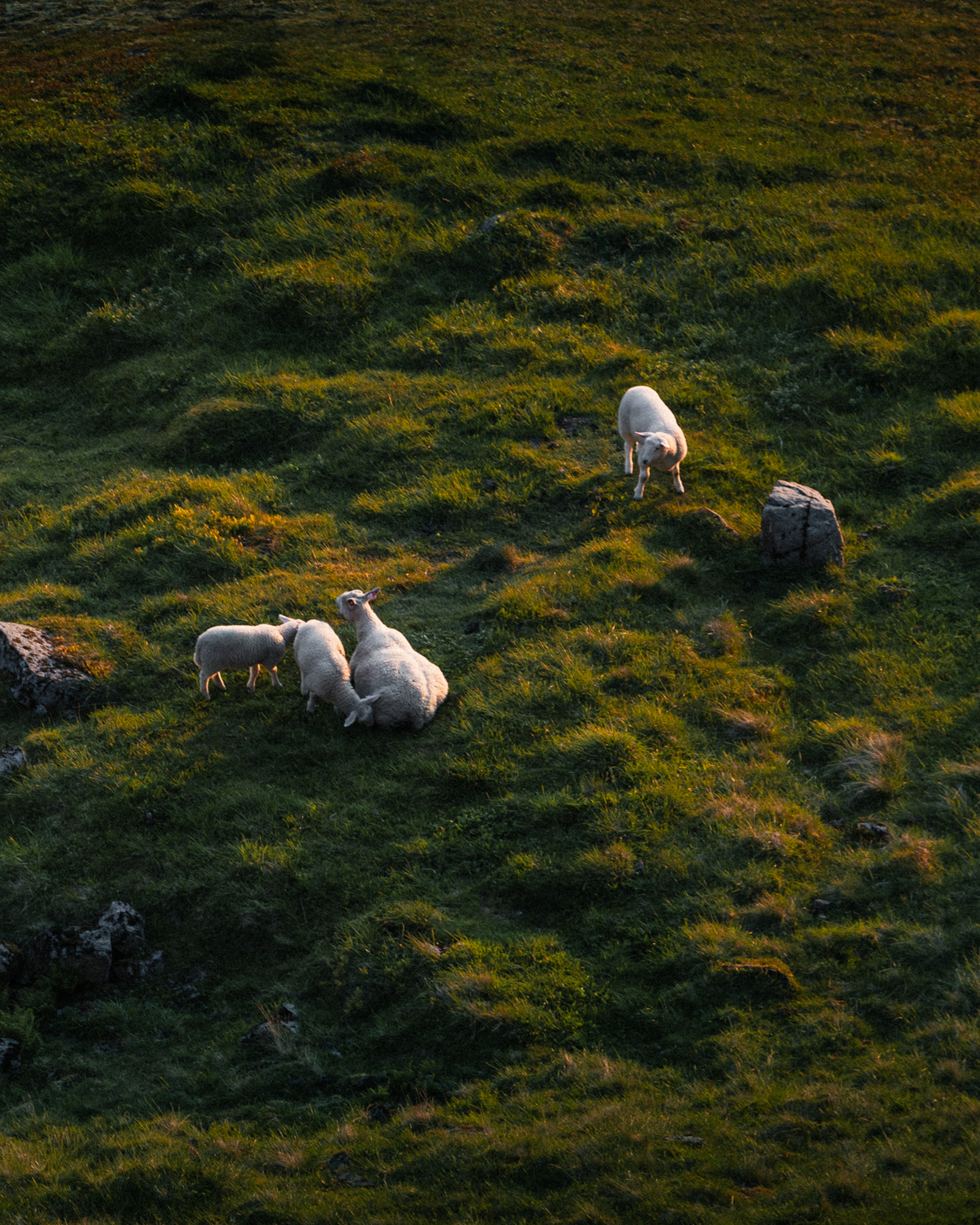 03-reiner-hofer-photography-norway