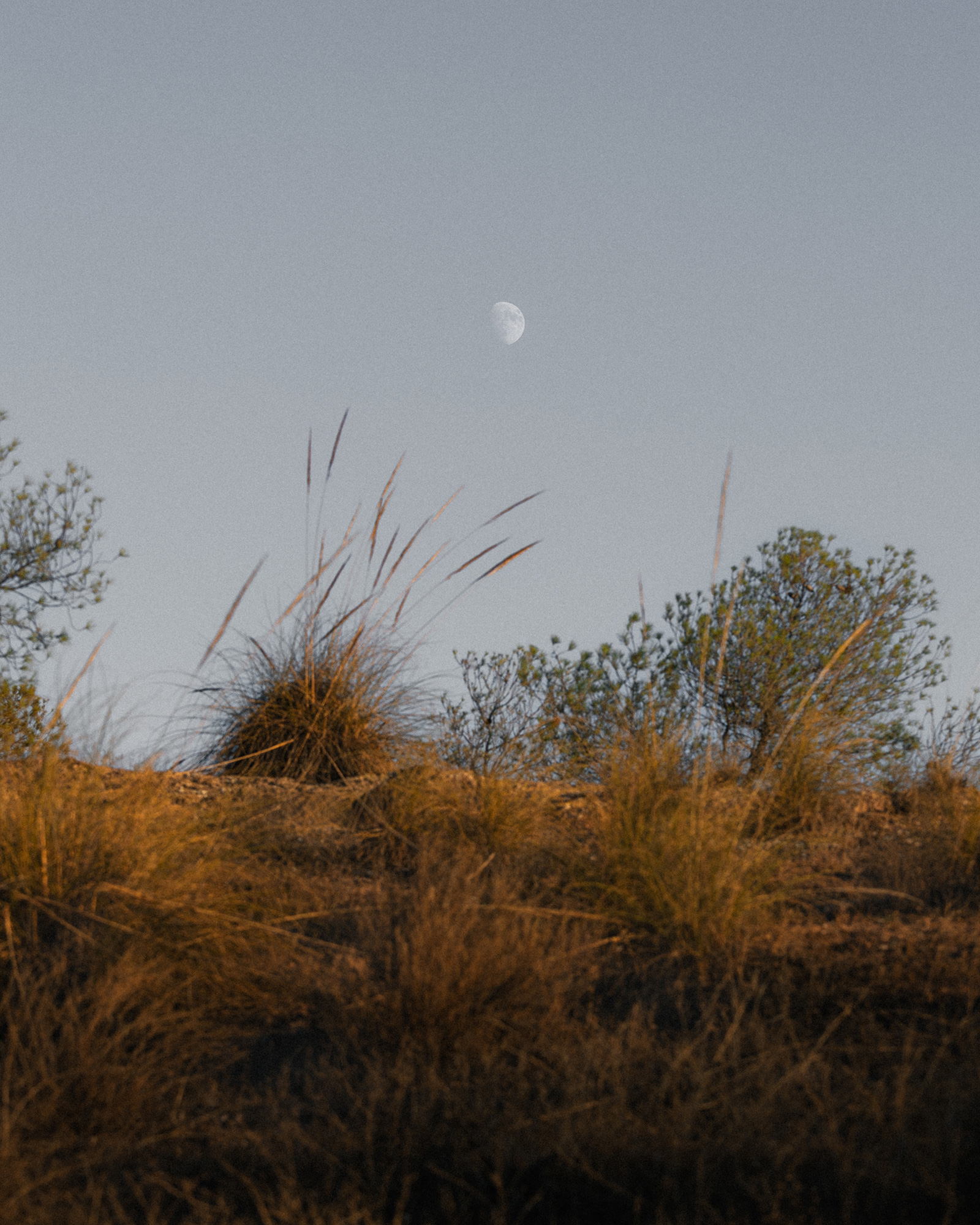 07-reiner-hofer-photography-spain