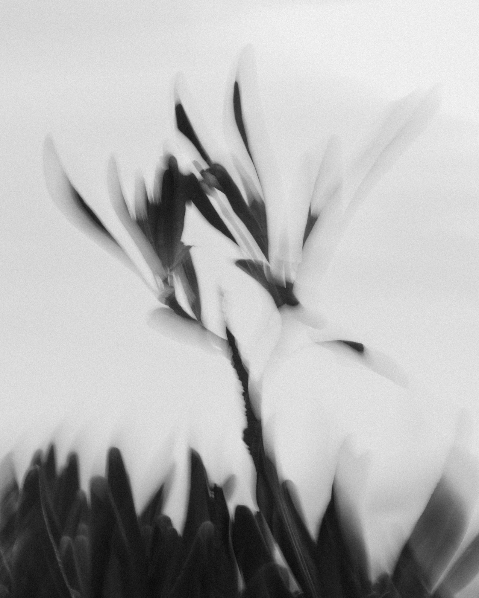 11-reiner-hofer-photography-spain