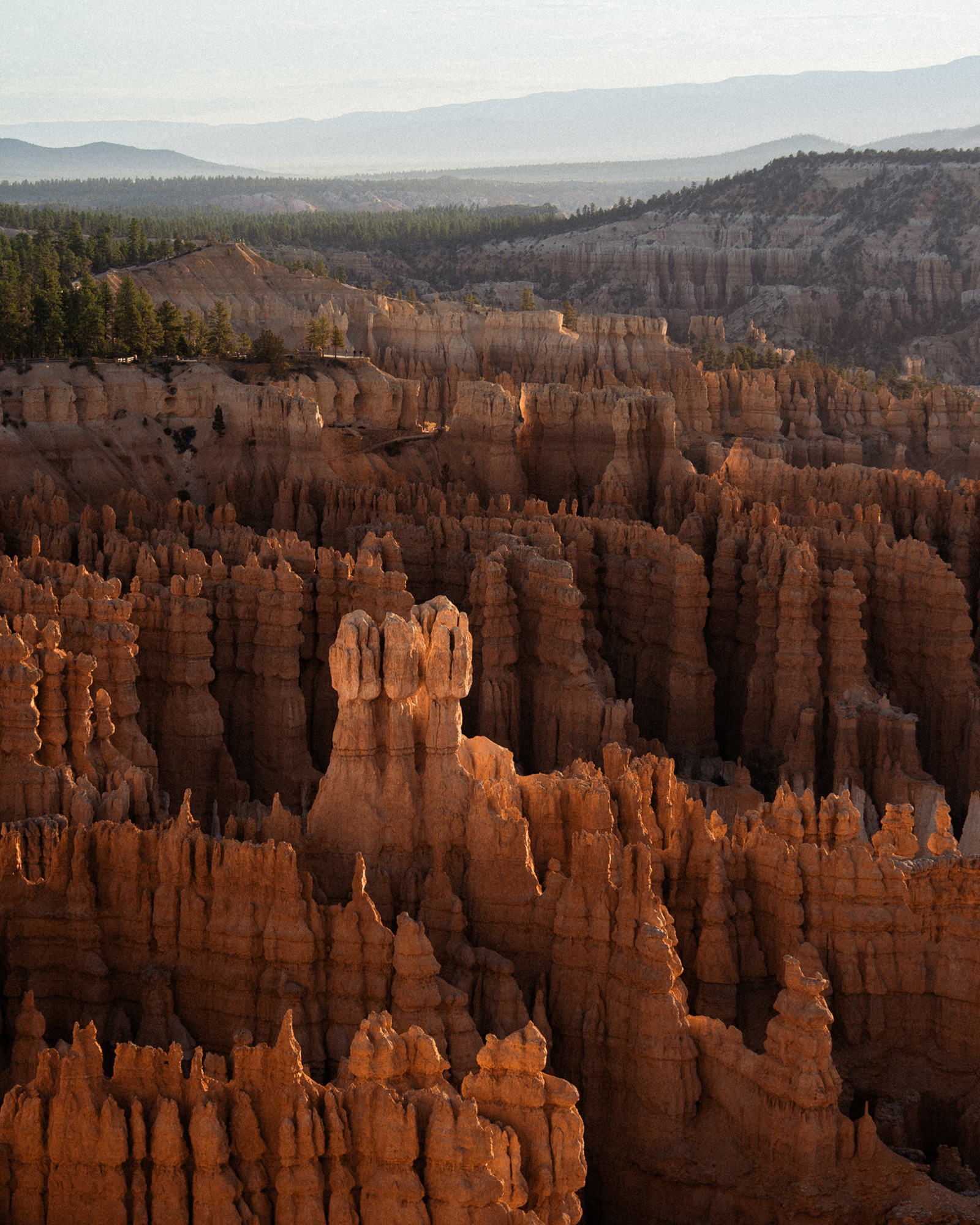 12-reiner-hofer-photography-usa