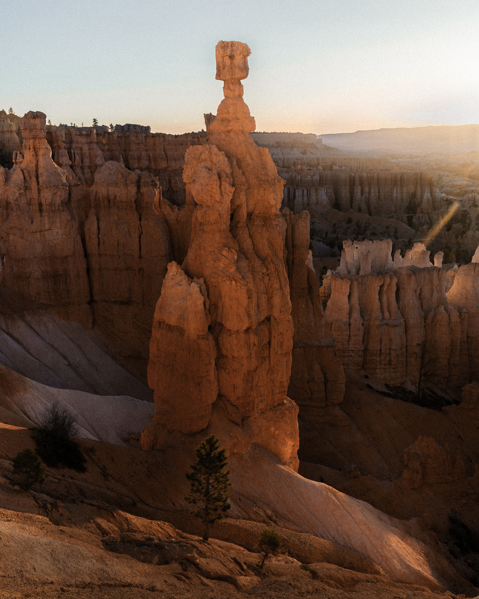 13-reiner-hofer-photography-usa