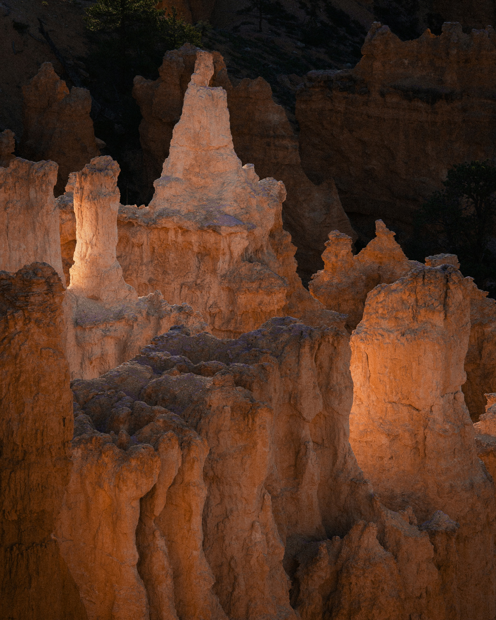 14-reiner-hofer-photography-usa