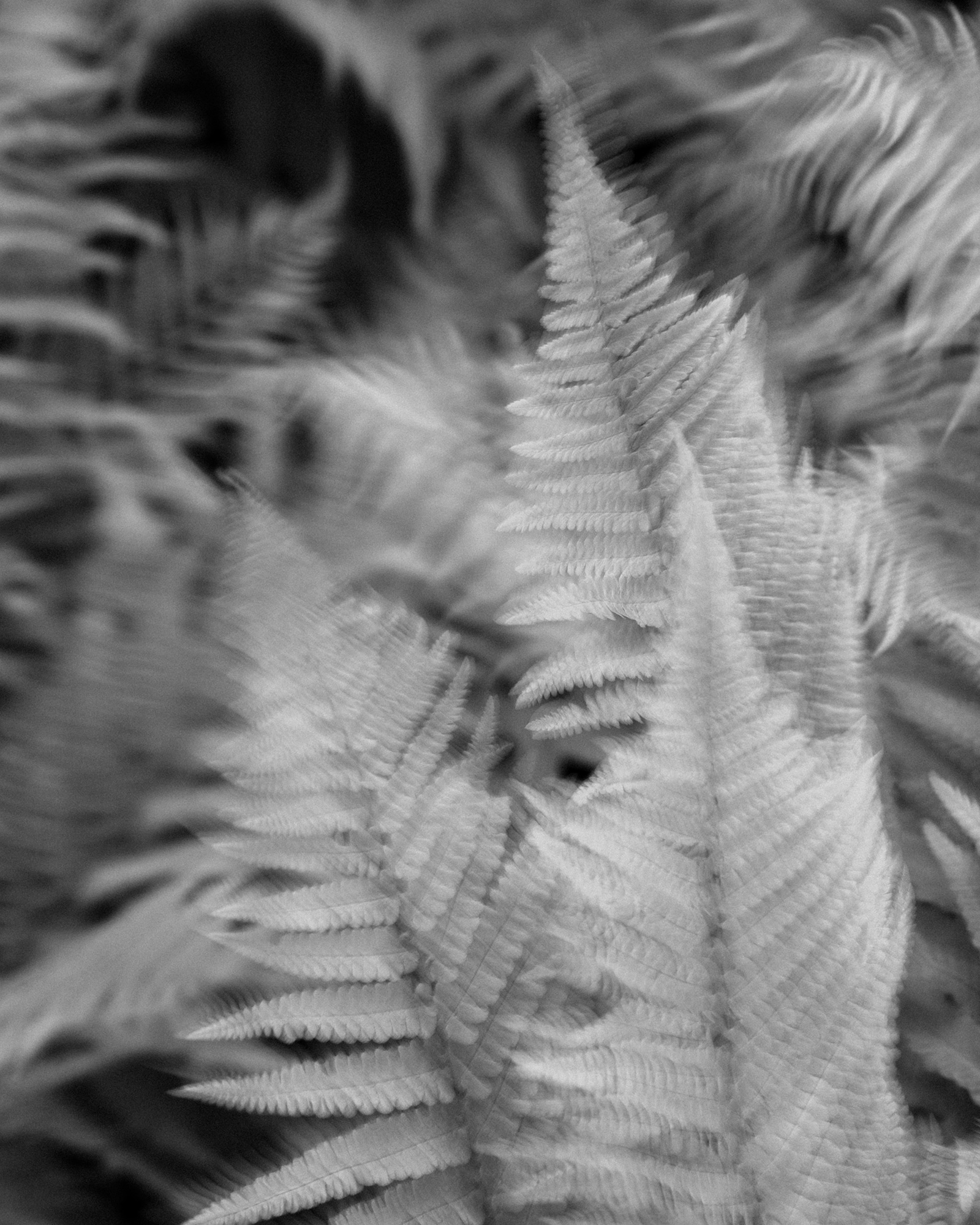 15-reiner-hofer-photography-norway