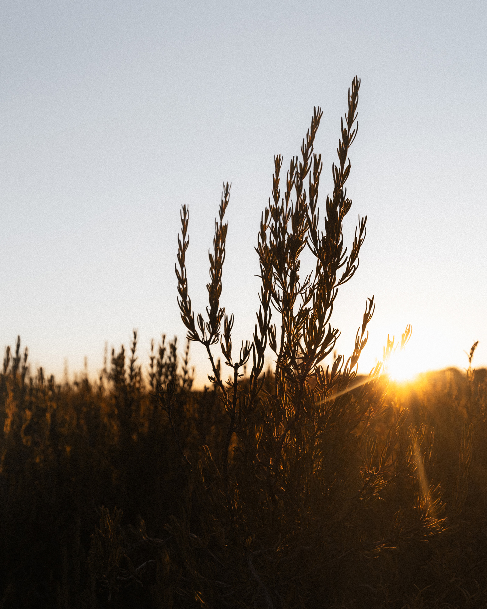 17-reiner-hofer-photography-spain