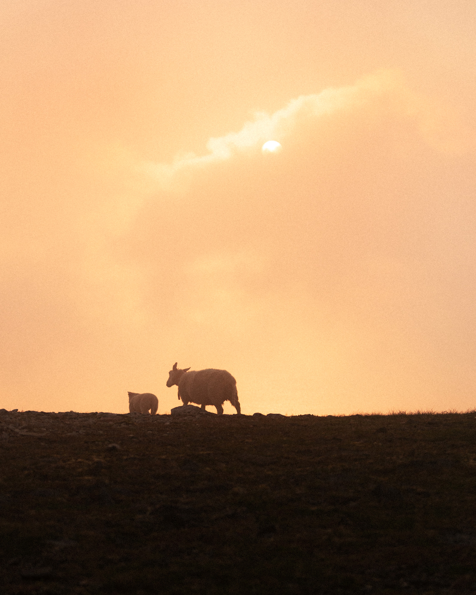 18-reiner-hofer-photography-norway