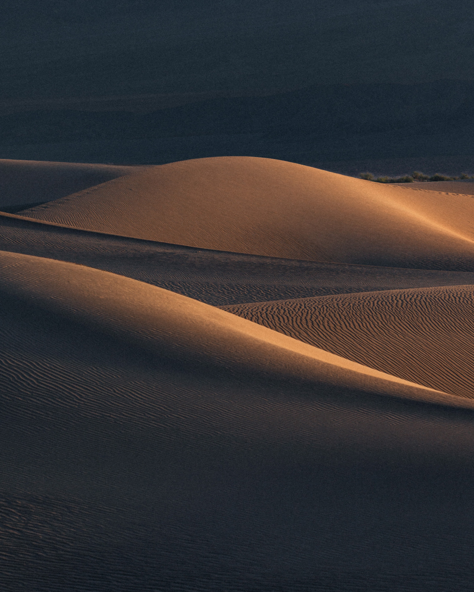 reiner-hofer-photography-dunes-05