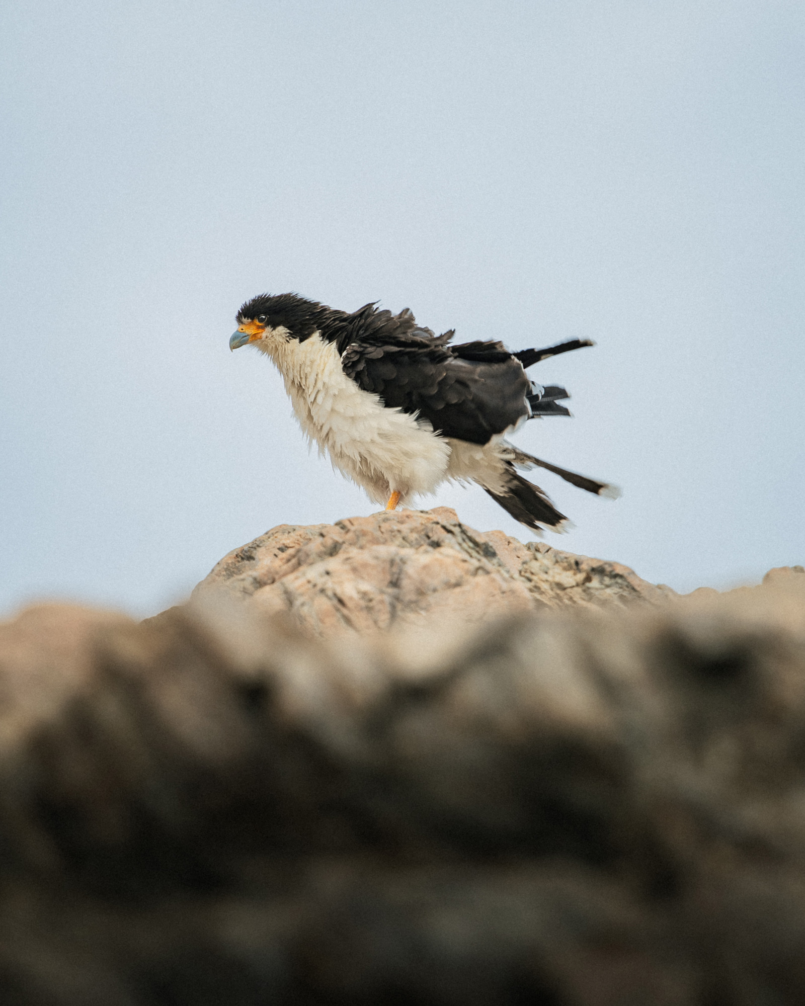 reiner-hofer-patagonia-08