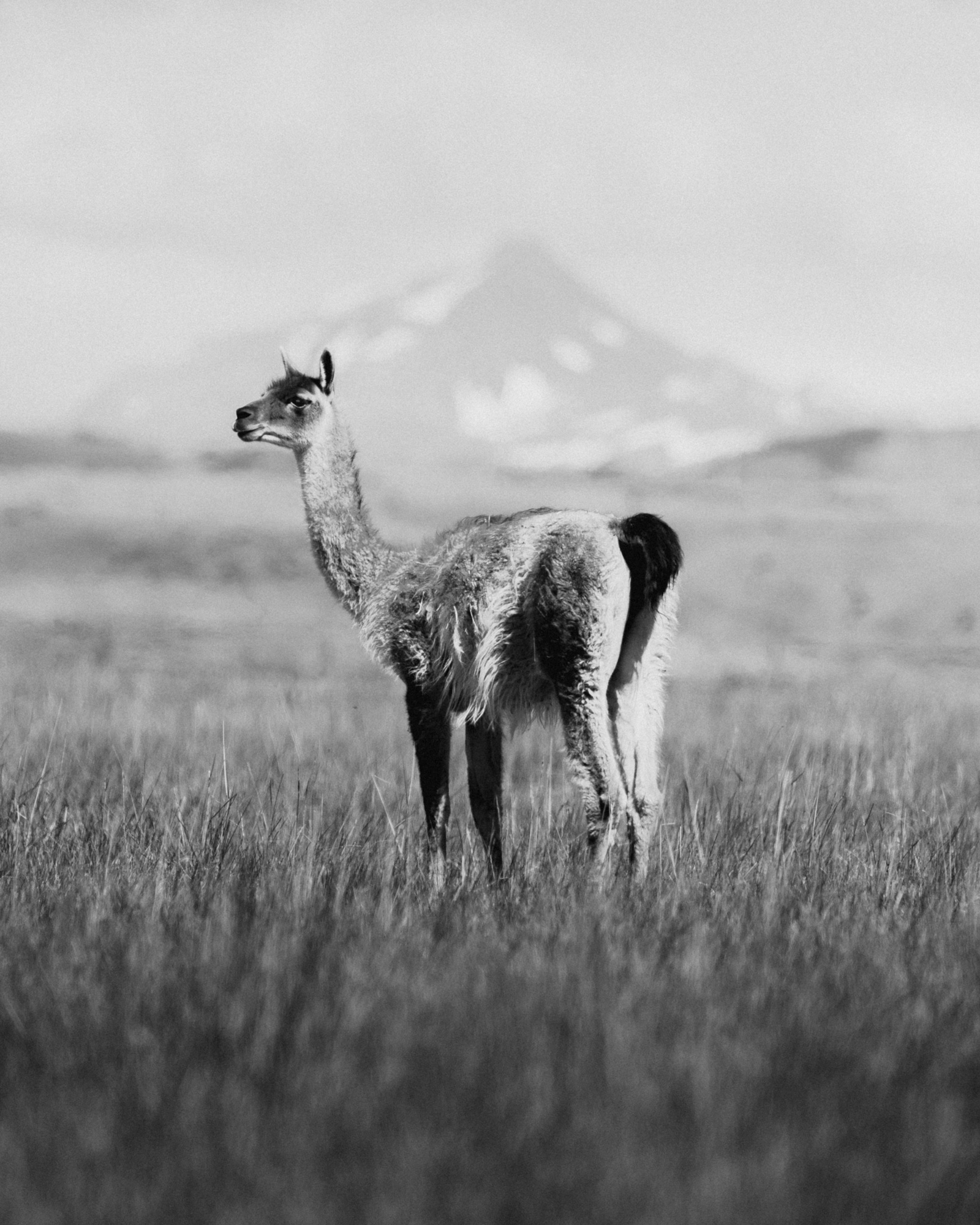reiner-hofer-patagonia-14