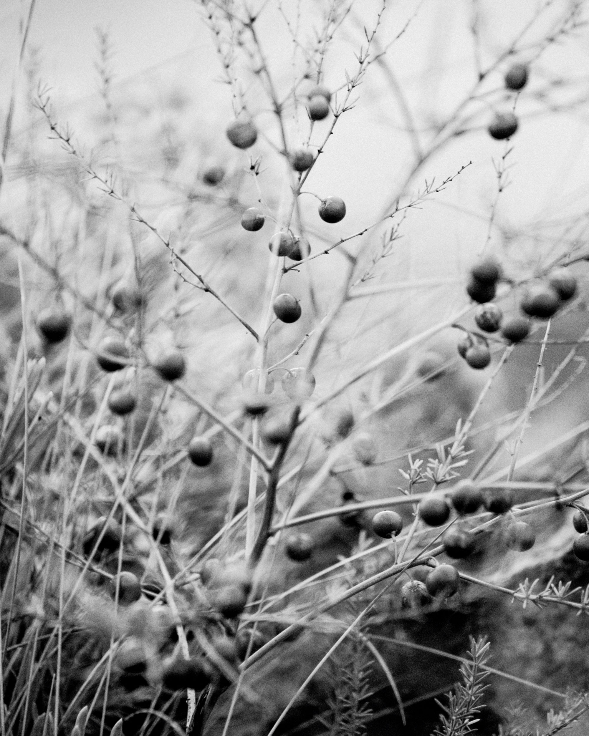 reiner-hofer-spain-book-01