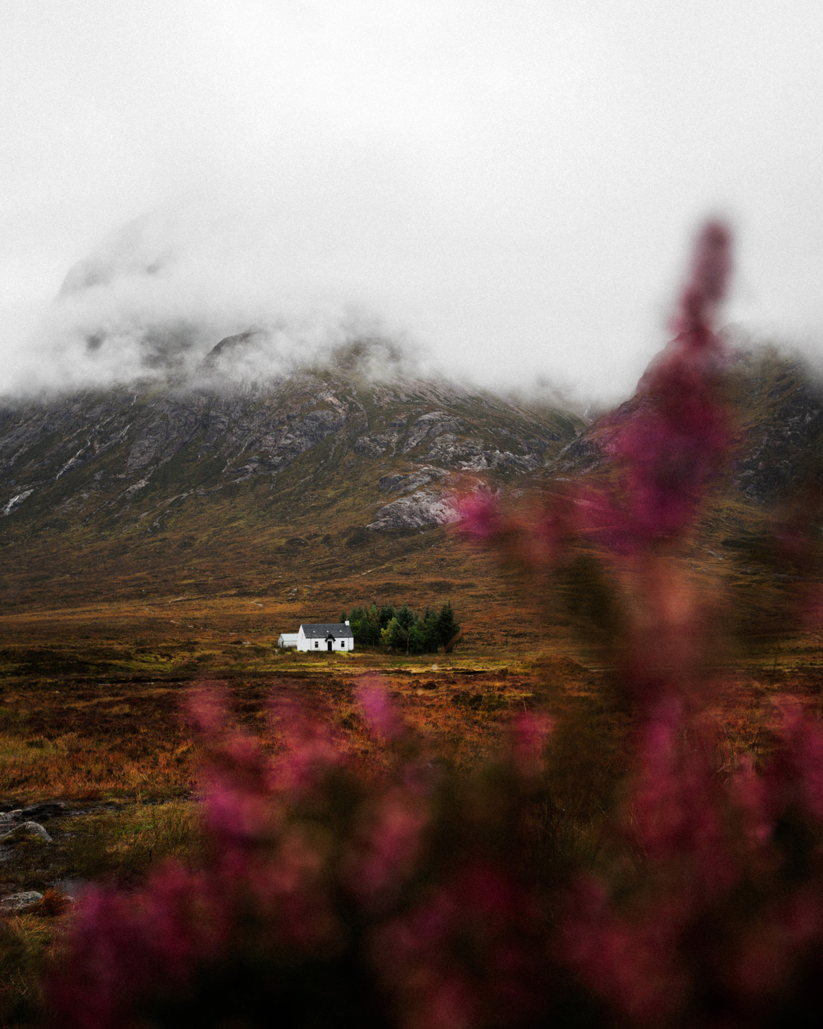 reiner-hofer-scotland-04-02