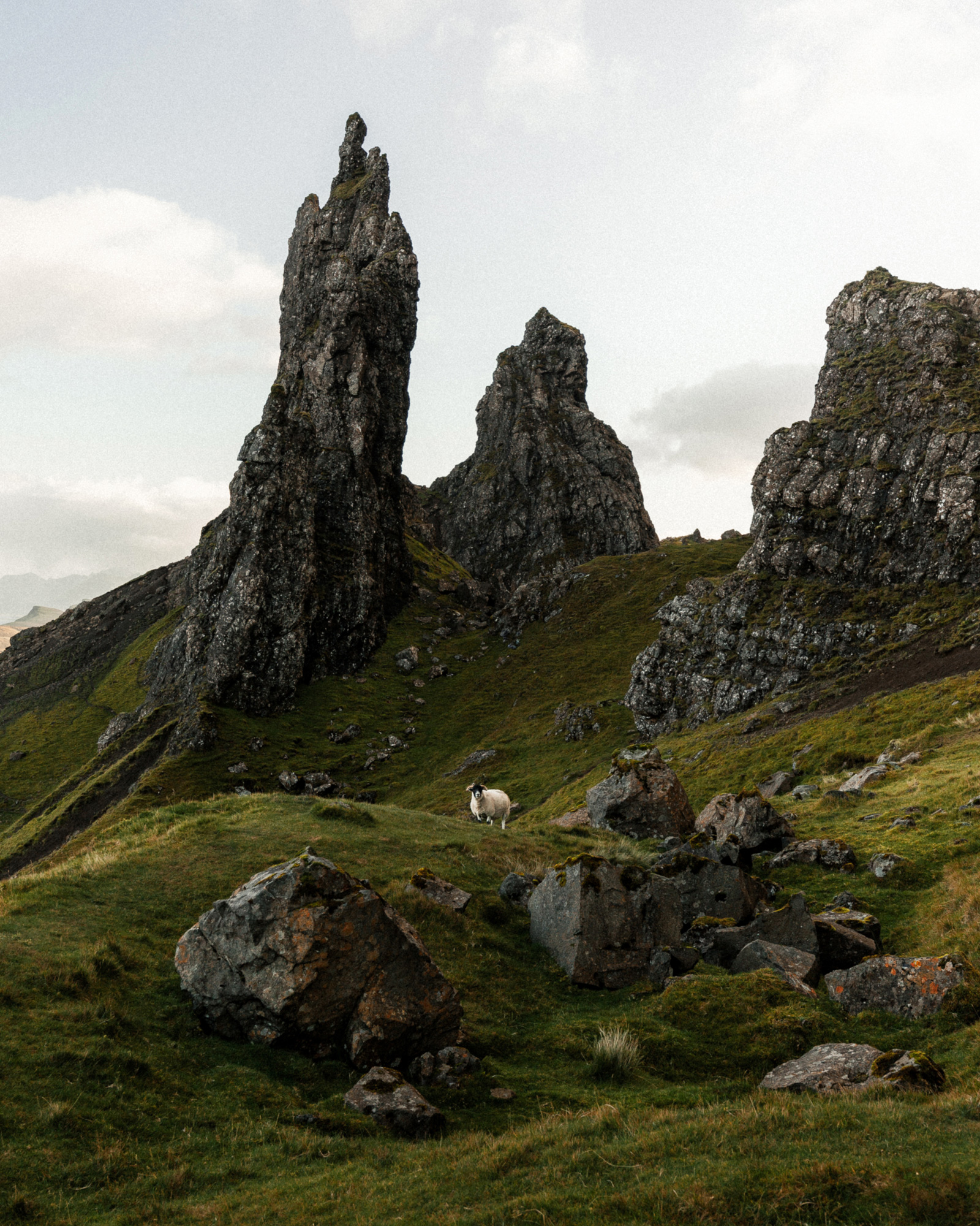 reiner-hofer-scotland-08