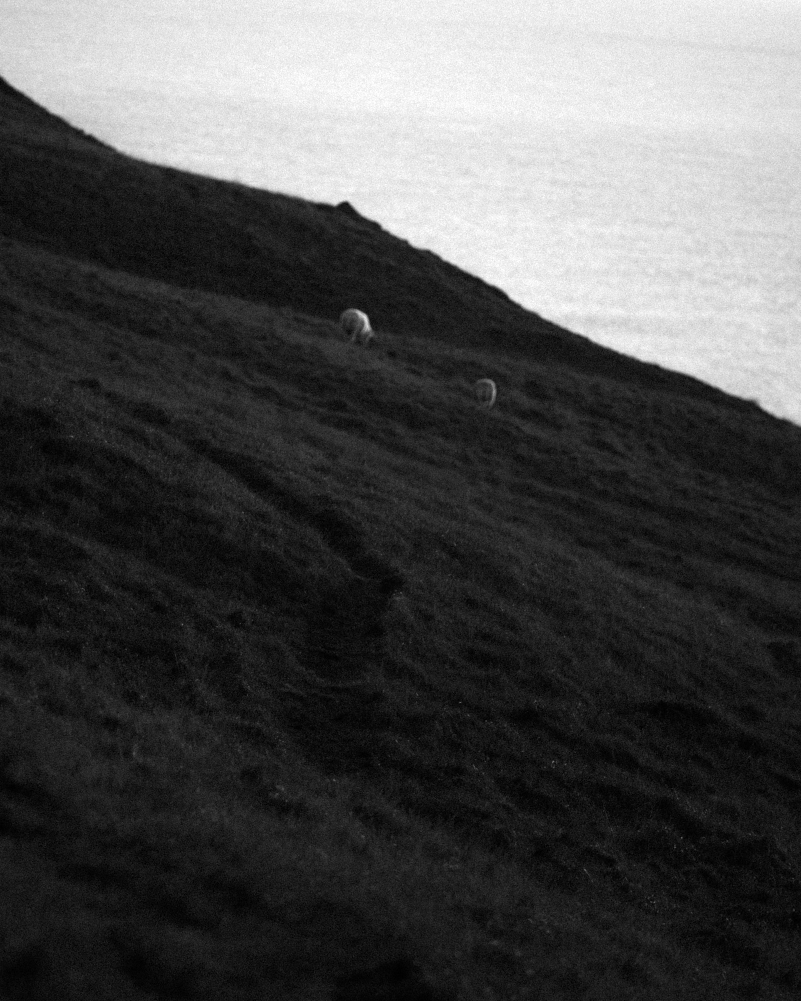 reiner-hofer-scotland-14