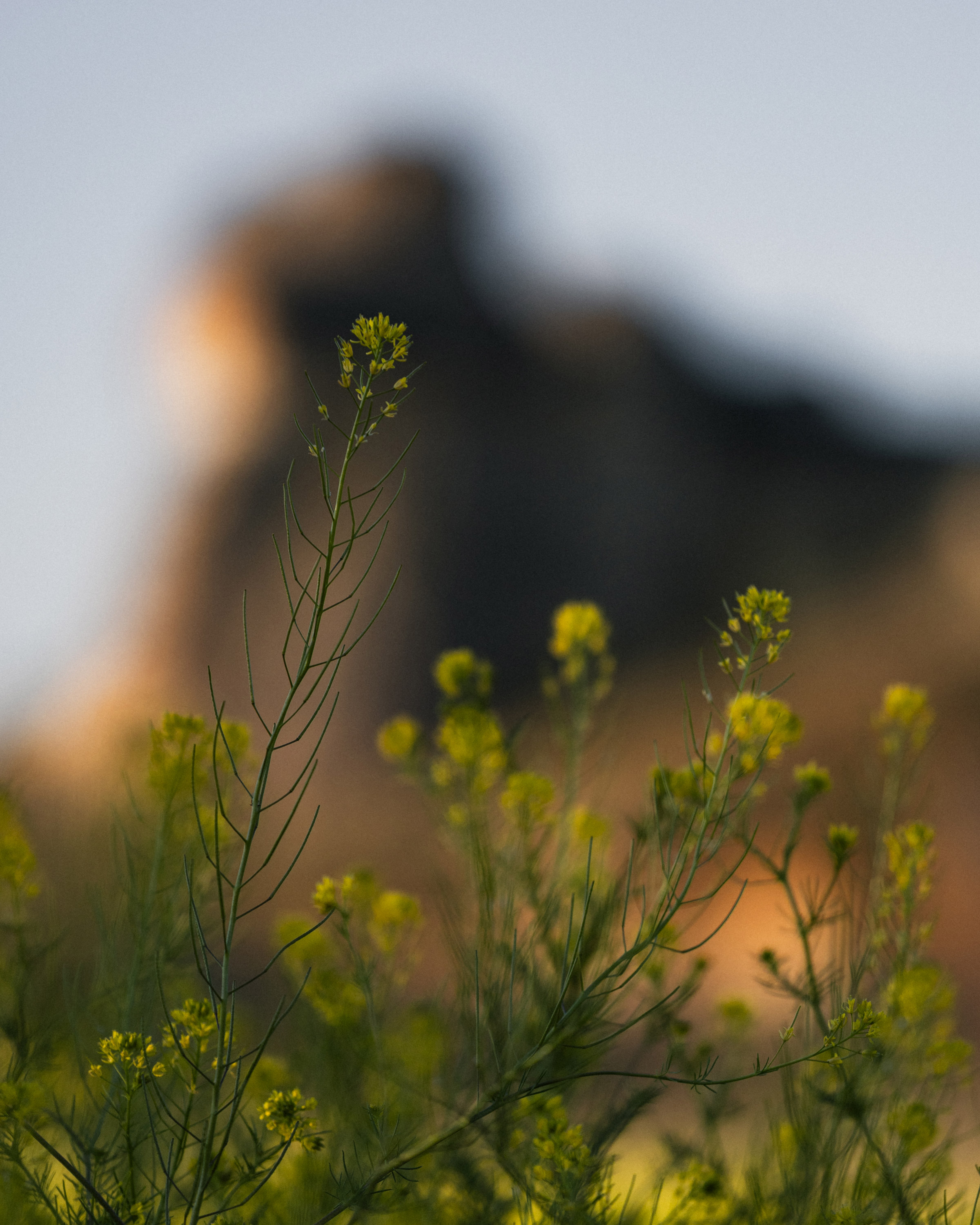 reiner-hofer-cappadocia-form-silence-02