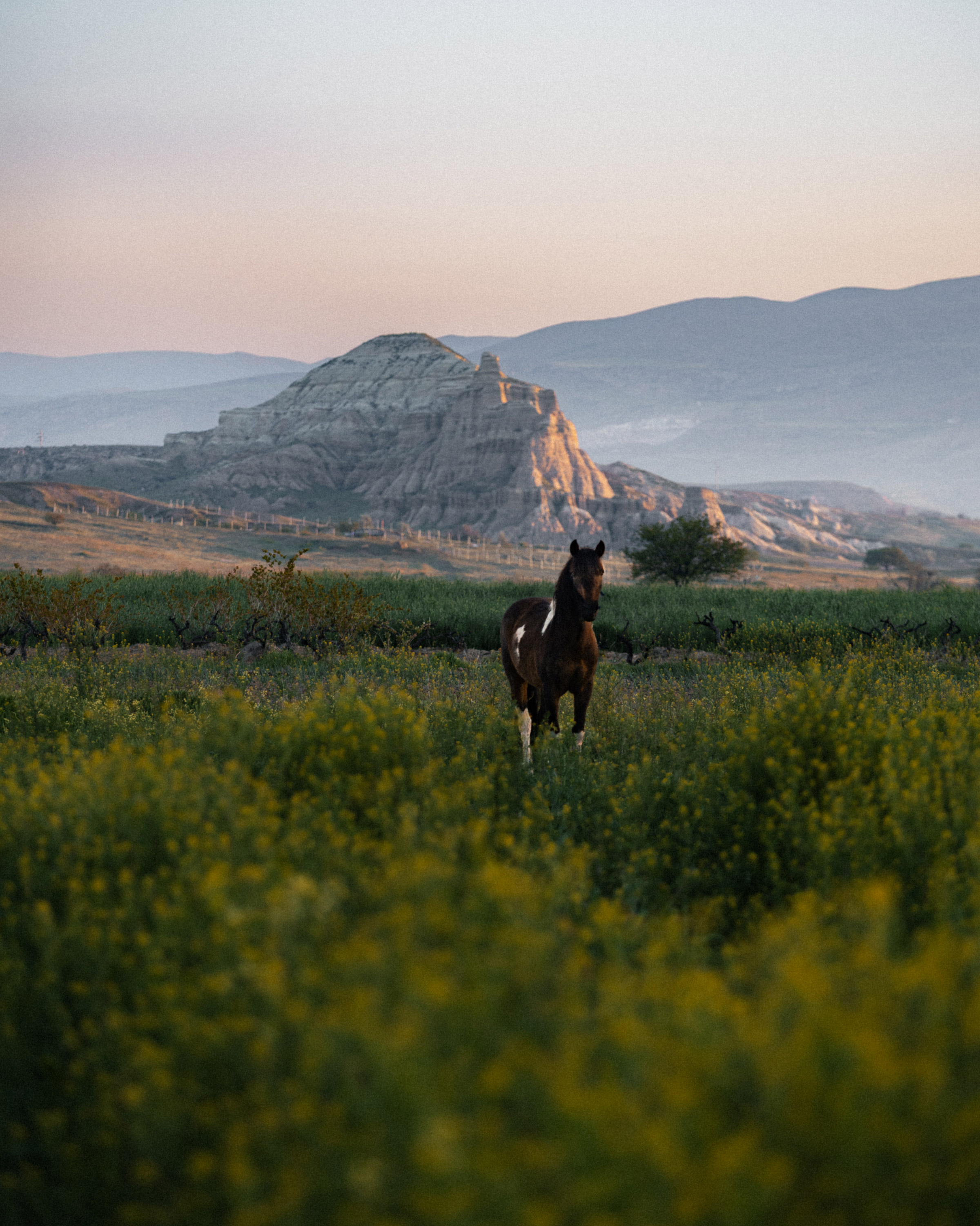 reiner-hofer-cappadocia-form-silence-04