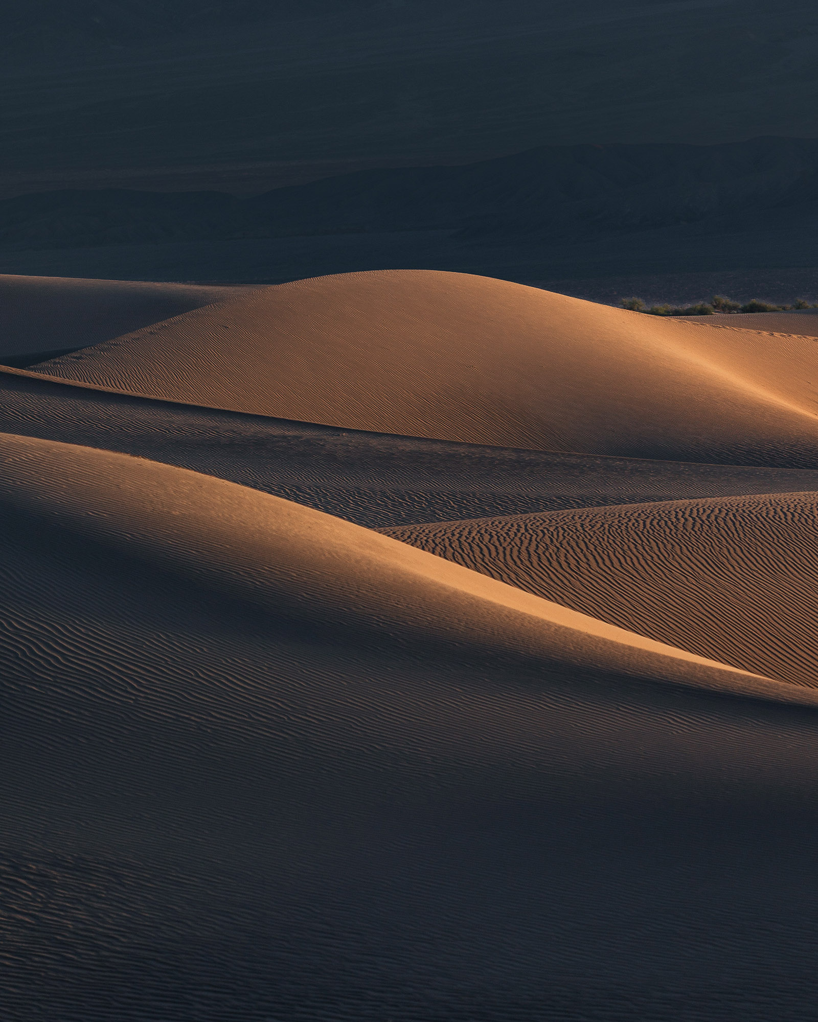 reiner-hofer-dunes-3