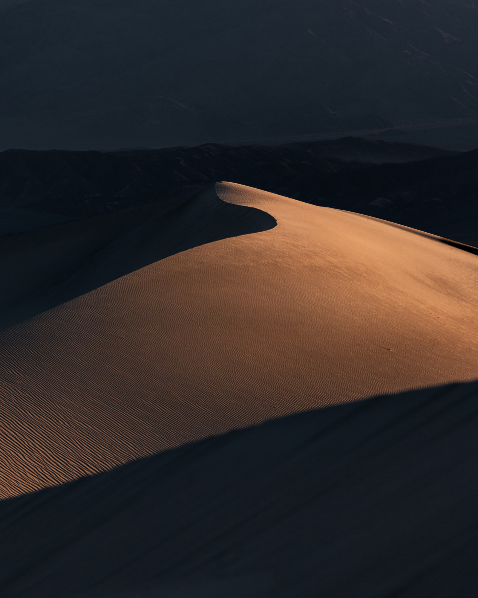 reiner-hofer-dunes-7
