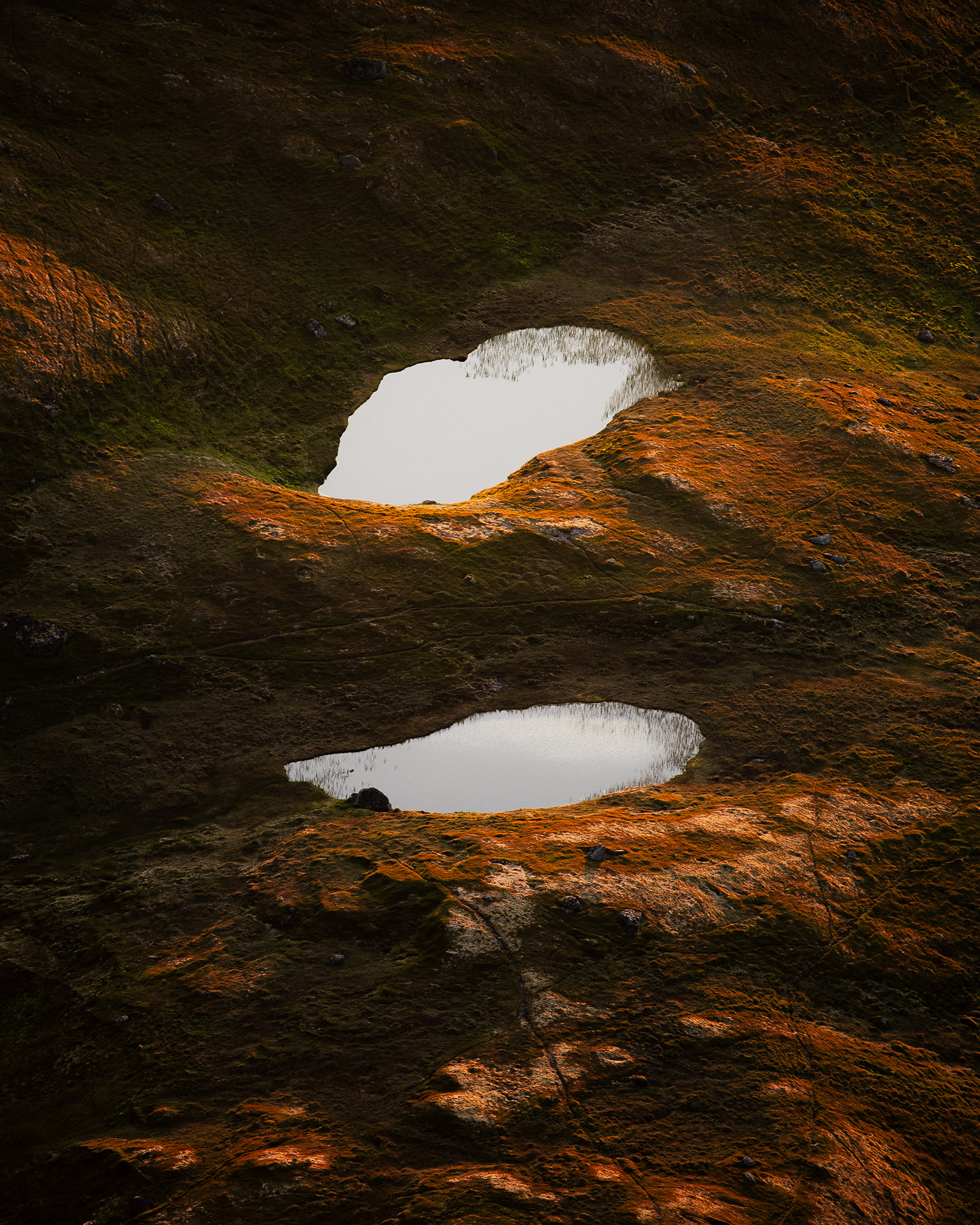 reiner-hofer-norway-midnight-6