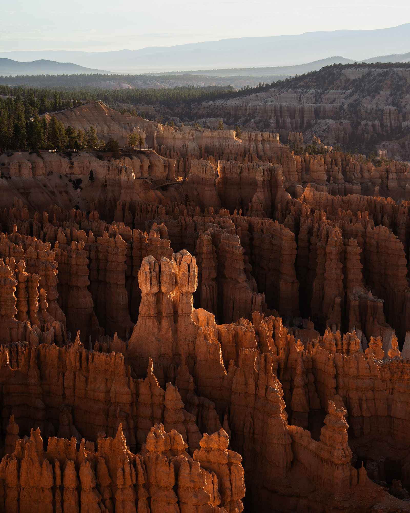 reiner-hofer-us-otherworldly-10