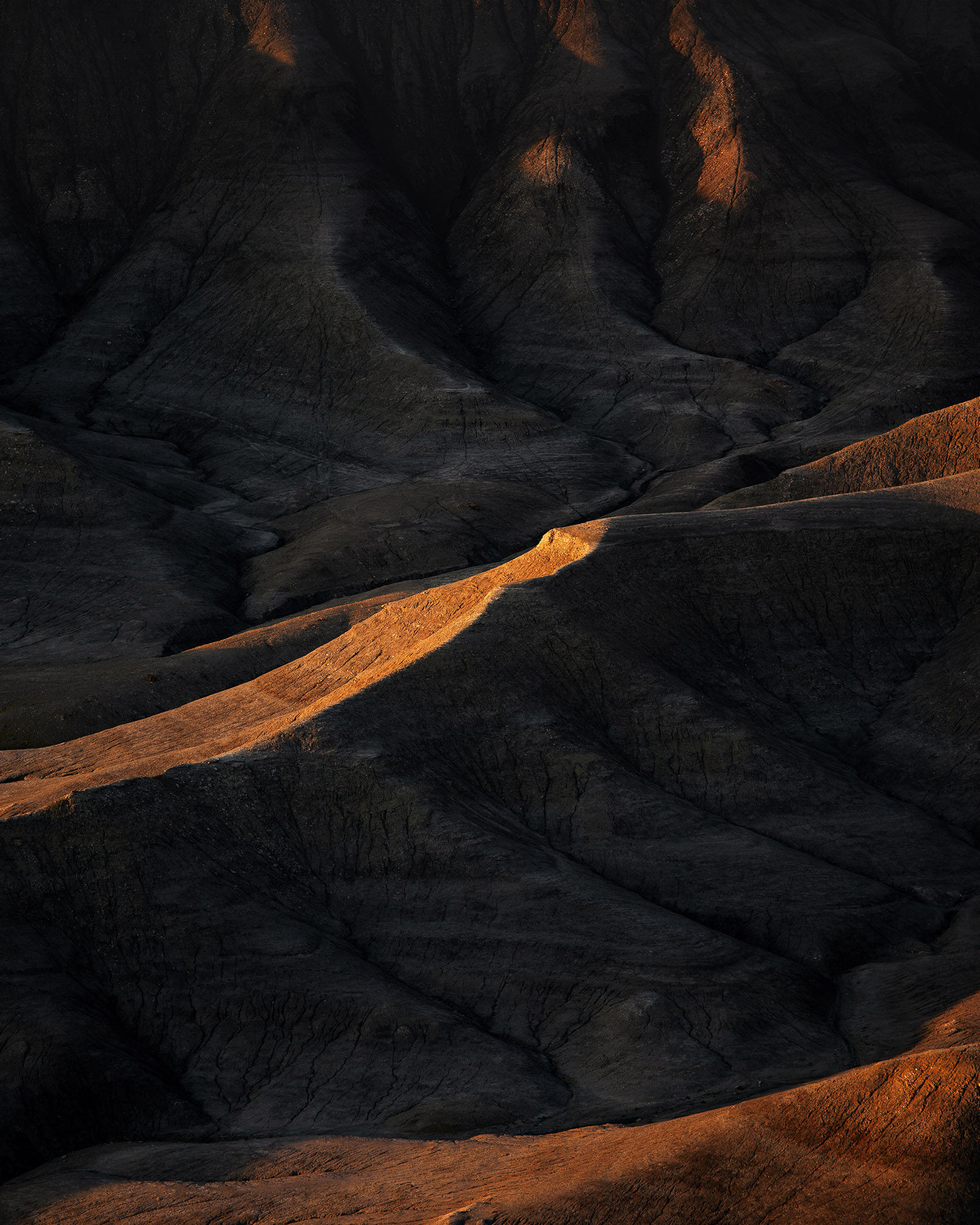 reiner-hofer-us-otherworldly-2