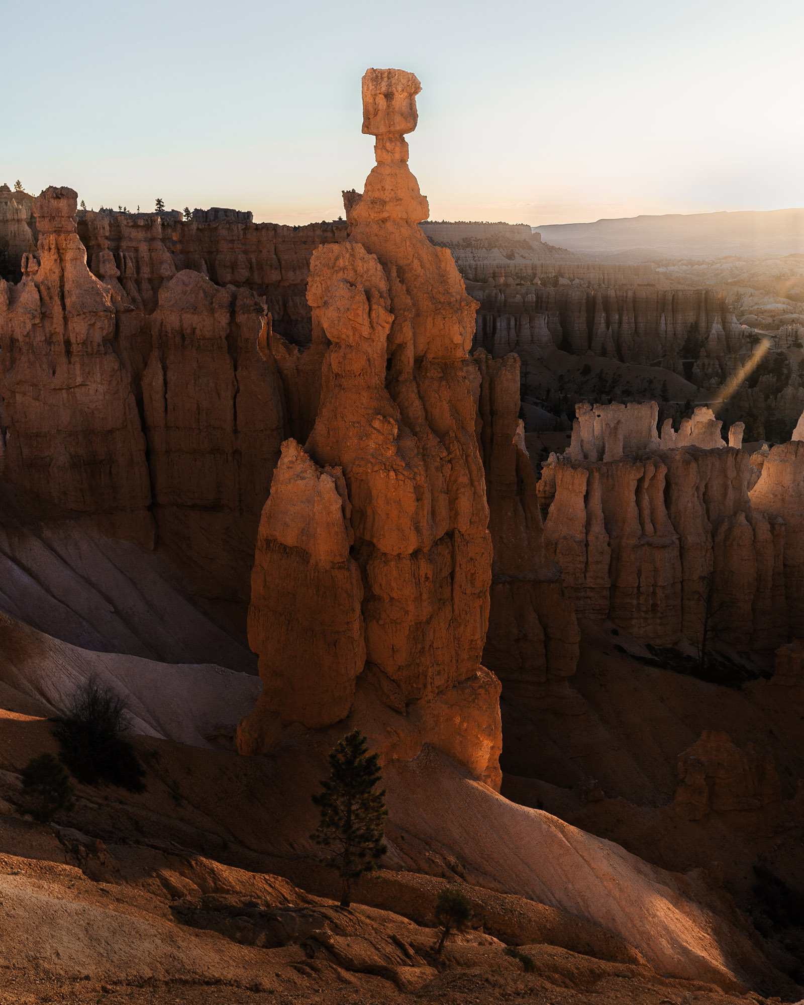 reiner-hofer-us-otherworldly-8